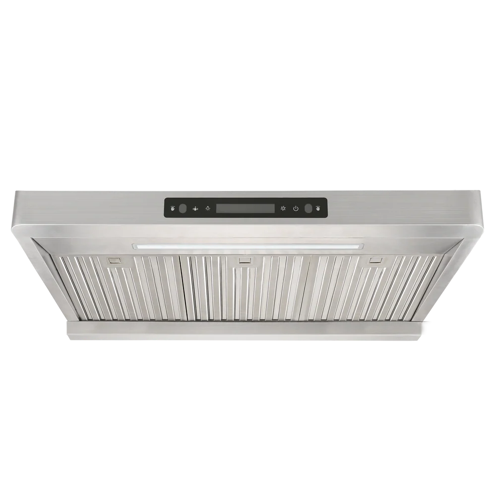 VESTA ALEXANDRIA 30"   |   Silver   |   860   CFM   Dual   Motors