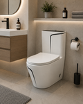 Buildnova Modern One-Piece Dual Flush Toilet – White with Black Accent Design